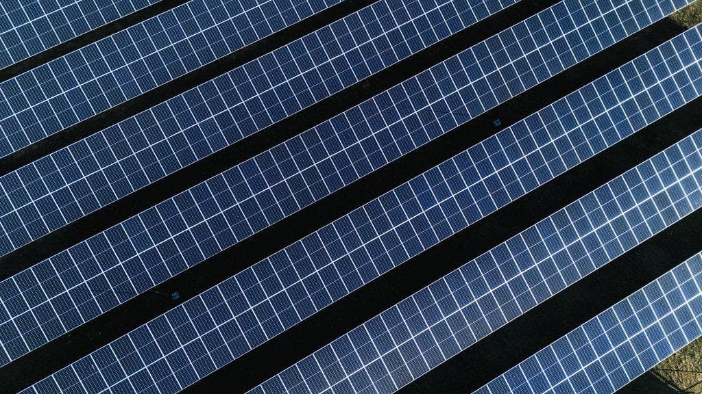 Solarfarm mit Photovoltaik-Panels inmitten eines grünen Waldes